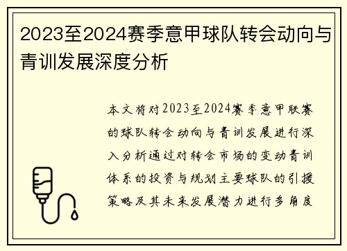 2023至2024赛季意甲球队转会动向与青训发展深度分析