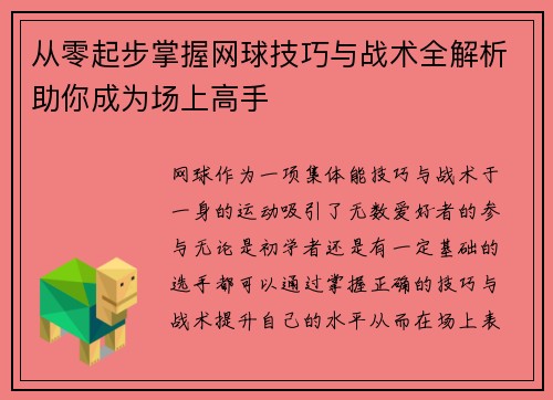 从零起步掌握网球技巧与战术全解析助你成为场上高手